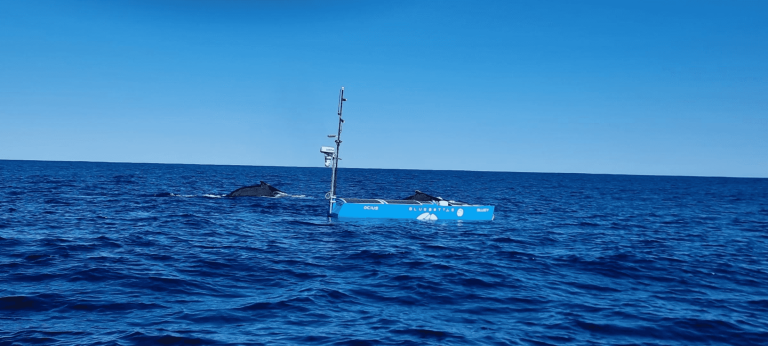 Australian companies demonstrate acoustic marine mammal monitoring with use of unmanned technologies